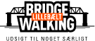 Logo for Bridge Walking